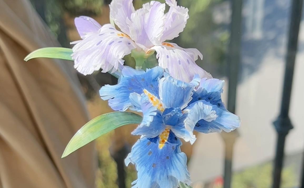 紫蓝色花卉品种大赏:紫罗兰、鸢尾花等美丽绽放