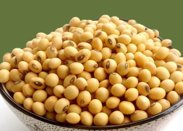 <b>绿色大豆品种探秘：毛豆、青豆与绿皮黄豆的差异</b>